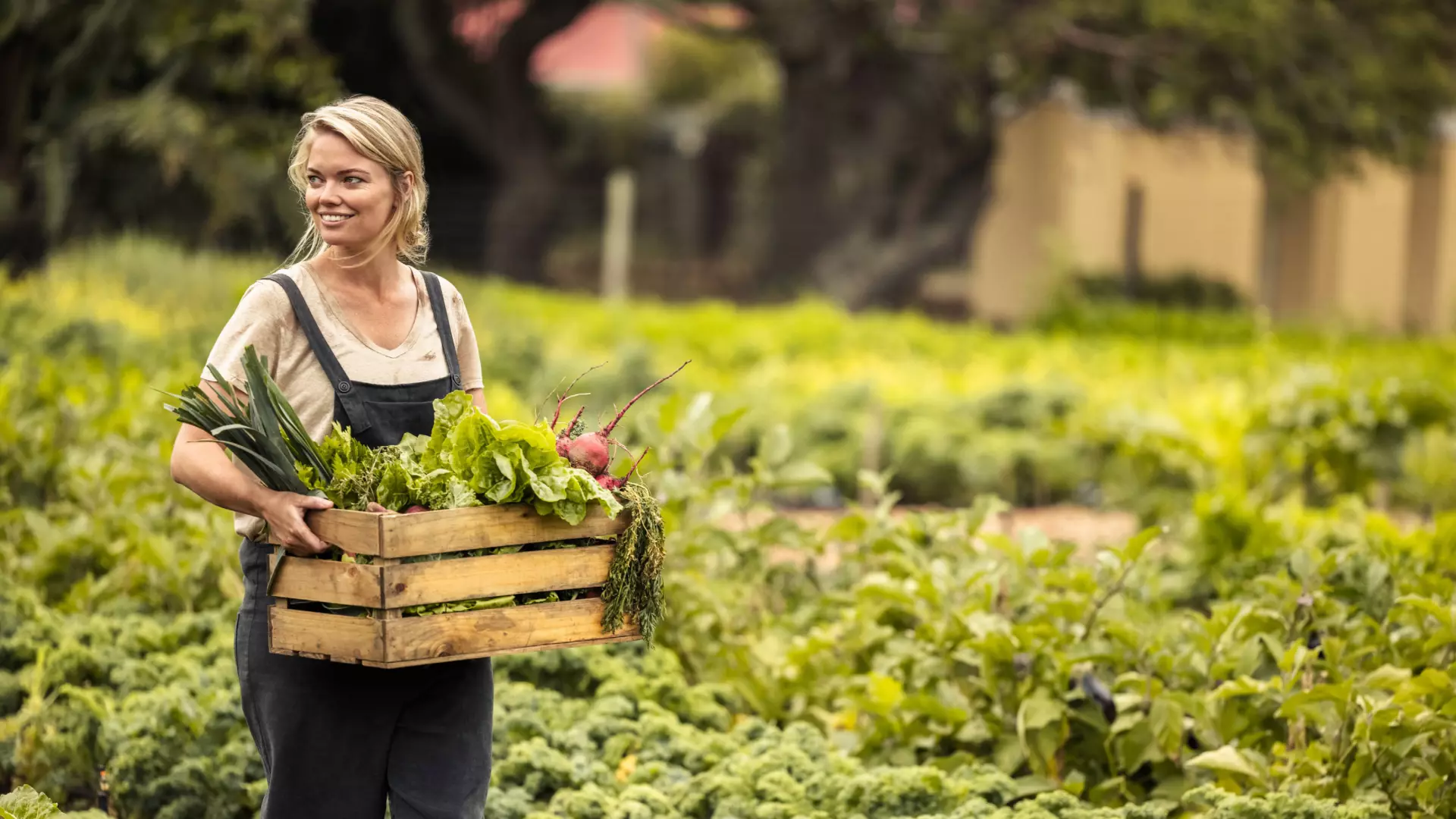 découvrez l'agriculture écologique, une pratique durable qui préserve l'environnement tout en produisant des aliments de qualité. apprenez comment cette méthode favorise la biodiversité, économise les ressources naturelles et contribue à la santé des sols et des écosystèmes.