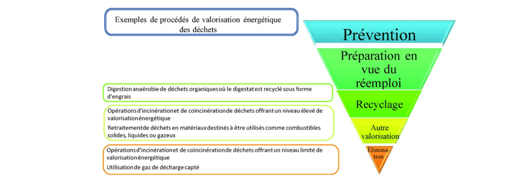 découvrez des exemples concrets d'économie circulaire pour comprendre comment ces pratiques innovantes transforment les entreprises et renforcent la durabilité. inspirez-vous de projets réussis qui réduisent les déchets, optimisent les ressources et favorisent un modèle économique respectueux de l'environnement.