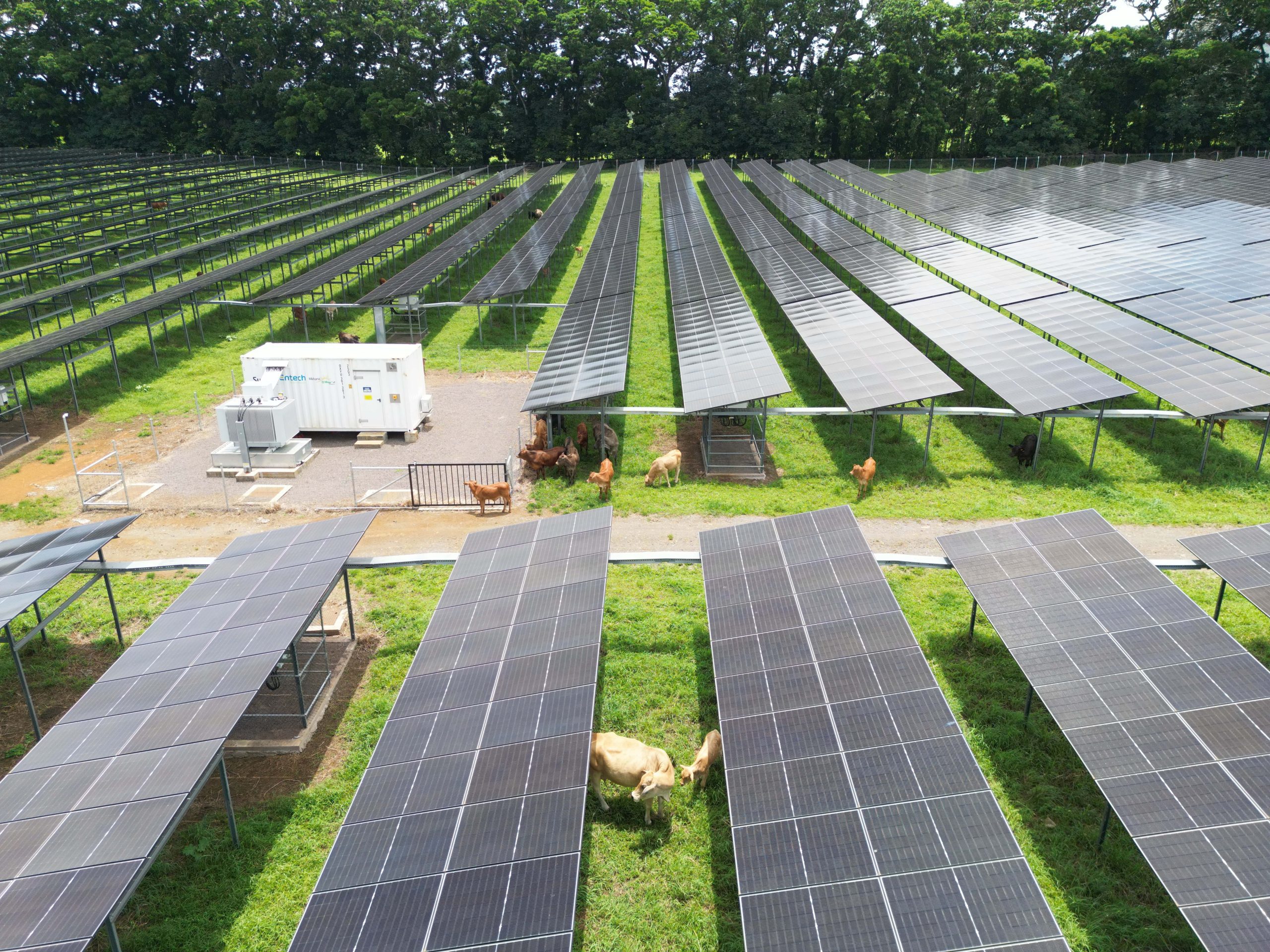 découvrez comment l'agriculture durable contribue à la transition énergétique grâce à des pratiques respectueuses de l'environnement. explorez les solutions innovantes qui permettent de produire des aliments tout en préservant notre planète.