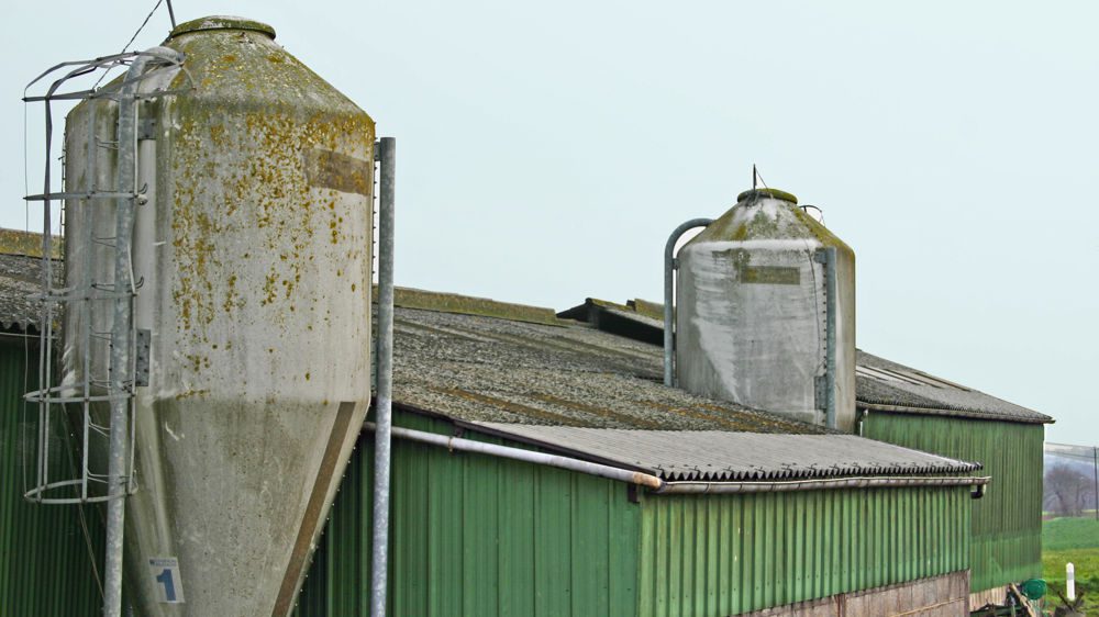 obtenez une estimation précise de la valeur de vos bâtiments agricoles grâce à notre expertise. que vous souhaitiez vendre, acheter ou évaluer votre patrimoine, nous vous accompagnons dans toutes les étapes du processus d'estimation, en tenant compte des spécificités de votre exploitation.
