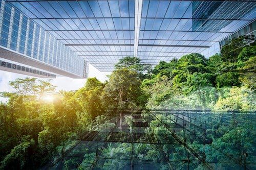 découvrez comment les innovations vertes transforment la qualité de l'air et contribuent à un environnement plus sain. explorez les technologies durables qui améliorent notre quotidien et luttent contre la pollution.