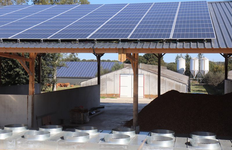 découvrez comment les hangars photovoltaïques peuvent améliorer la biodiversité tout en produisant de l'énergie renouvelable. explorez les synergies entre agriculture, sylviculture et installations solaires pour un avenir durable.