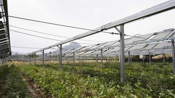 découvrez les dernières innovations photovoltaïques agricoles qui transforment le paysage de l'agriculture durable. explorez comment ces technologies solaires permettent d'optimiser la production tout en préservant l'environnement.