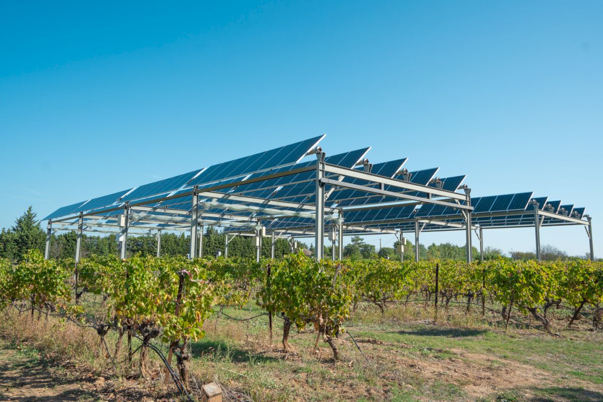 découvrez les avantages de l'agri-photovoltaïque, une solution innovante combinant agriculture et énergie solaire. optimisez vos terres tout en produisant de l'électricité durable et en contribuant à la transition énergétique.