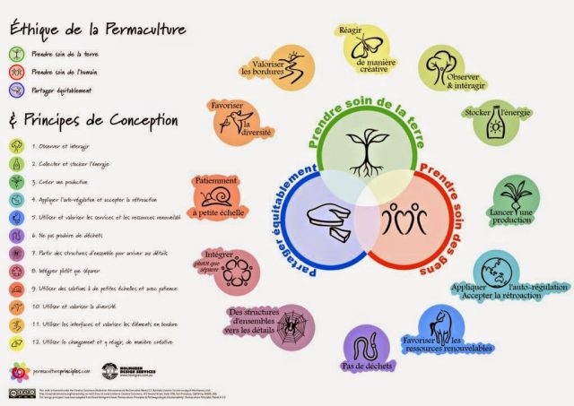 découvrez comment la biomimétique inspire des solutions durables pour une économie circulaire. explorez les principes innovants qui permettent de réduire les déchets et de favoriser un développement respectueux de l'environnement.