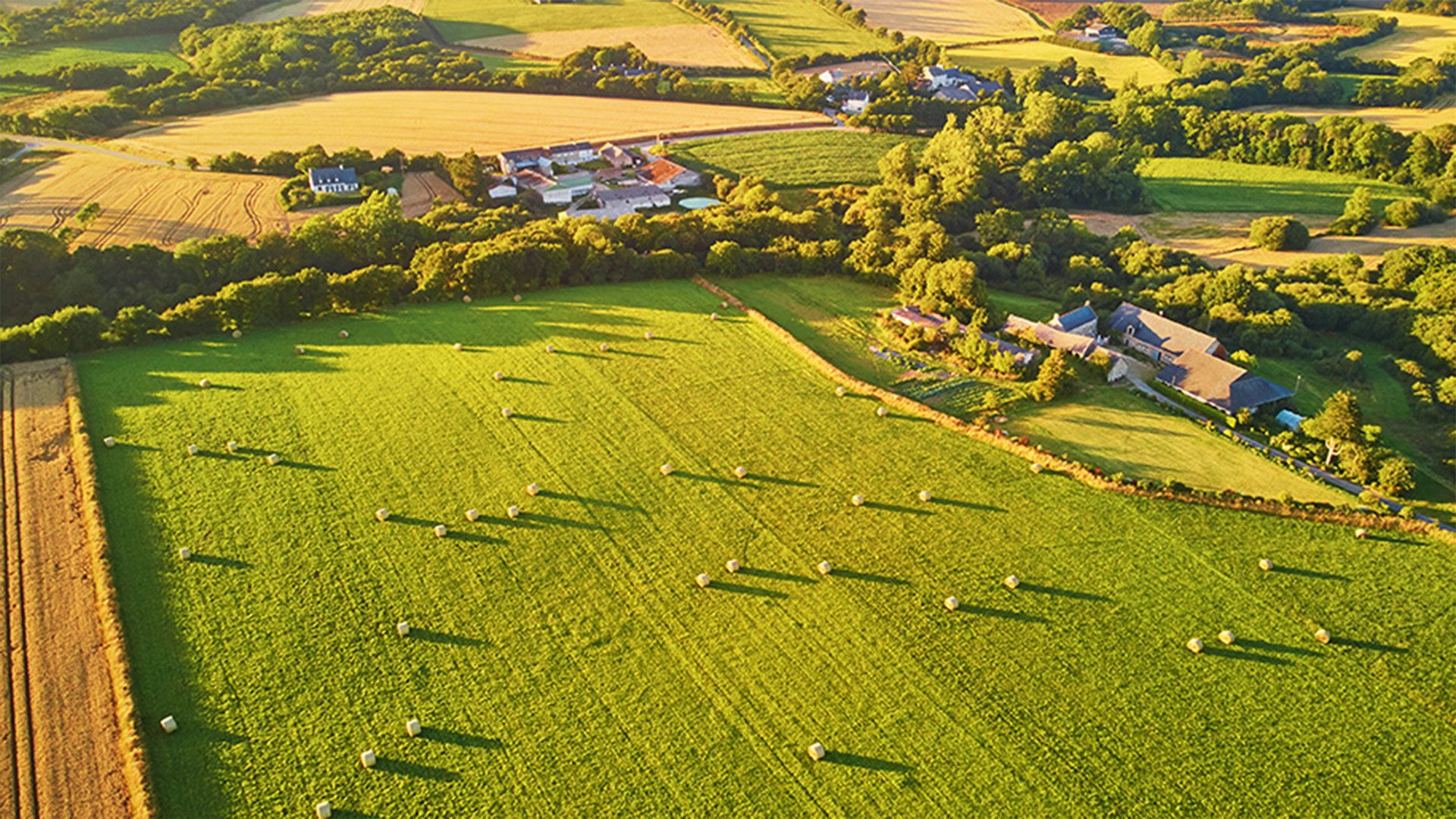découvrez comment la techno-agriculture durable révolutionne les pratiques agricoles en alliant innovation technologique et respeito de l'environnement. explorez les solutions qui permettent d'optimiser la production tout en préservant nos ressources naturelles.