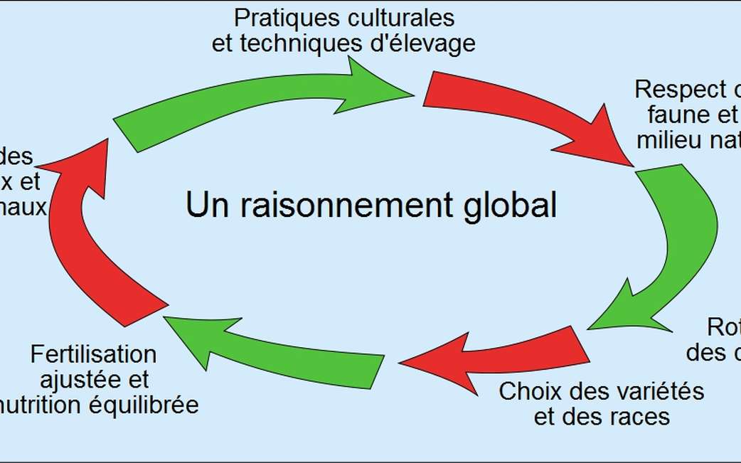 découvrez l'agriculture durable : une approche novatrice et respectueuse de l'environnement qui allie performances économiques et préservation des ressources naturelles. adoptez des pratiques agricoles écoresponsables pour un avenir meilleur.