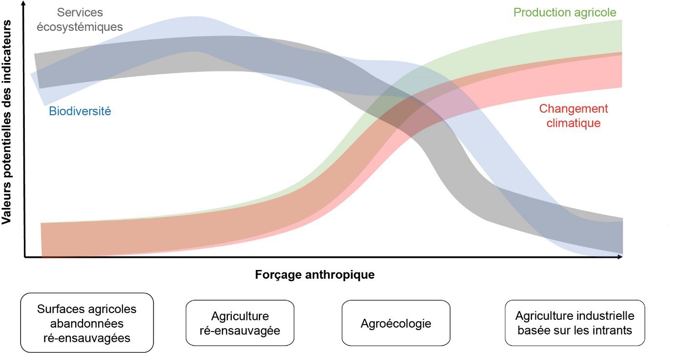découvrez les nombreux avantages agroécologiques pour l'environnement, l'économie et la santé. apprenez comment ces pratiques durables favorisent la biodiversité, améliorent la qualité des sols et soutiennent les agriculteurs tout en répondant aux défis alimentaires mondiaux.