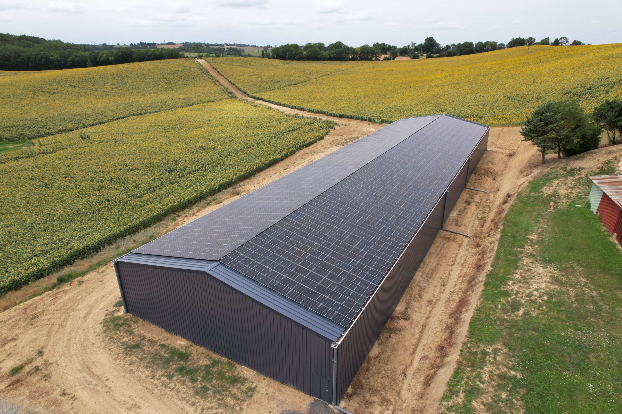 découvrez comment l'agriculture et le photovoltaïque peuvent coexister pour promouvoir une agriculture durable. explorez les avantages de l'intégration des panneaux solaires dans les exploitations agricoles, optimisant l'utilisation des terres tout en produisant de l'énergie renouvelable.