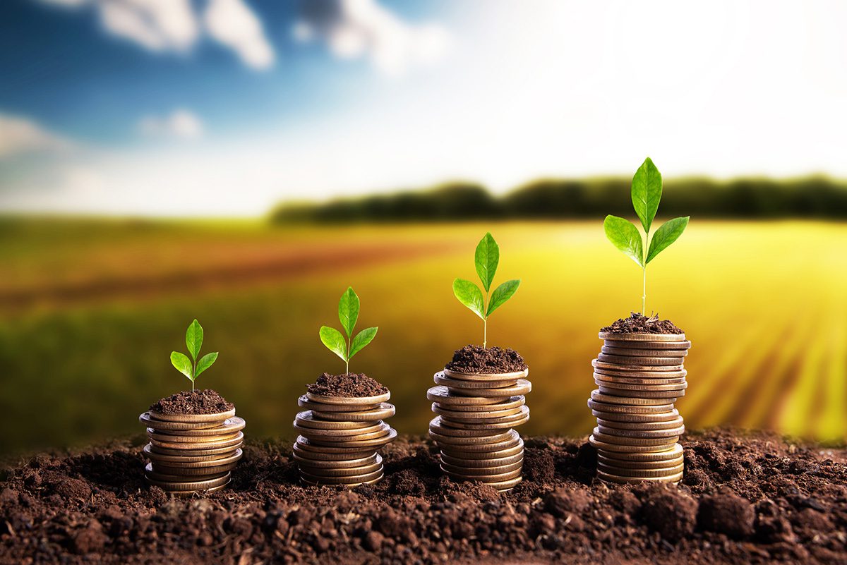 découvrez l'univers des startups agro-tech, qui révolutionnent l'agriculture grâce à l'innovation et aux nouvelles technologies. explorez des solutions durables, améliorant la productivité et la rentabilité des exploitations agricoles tout en respectant l'environnement.