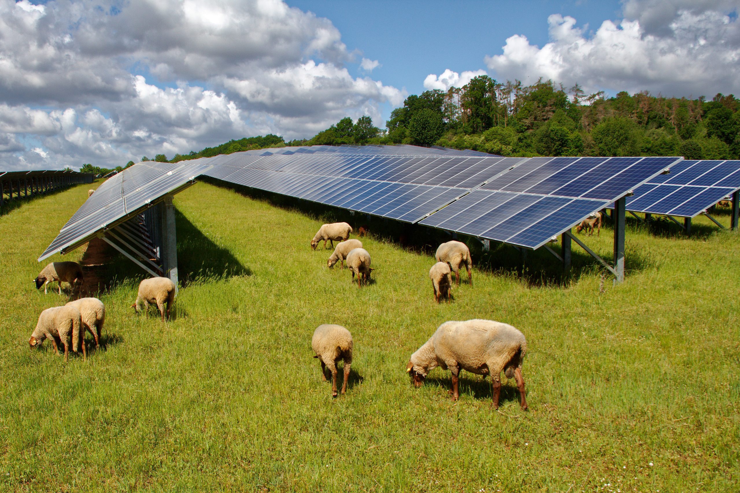 découvrez comment l'énergie solaire transforme l'agriculture moderne en offrant des solutions durables pour les exploitations agricoles. optimisez vos ressources, réduisez vos coûts et contribuez à un avenir plus vert grâce à l'énergie renouvelable.