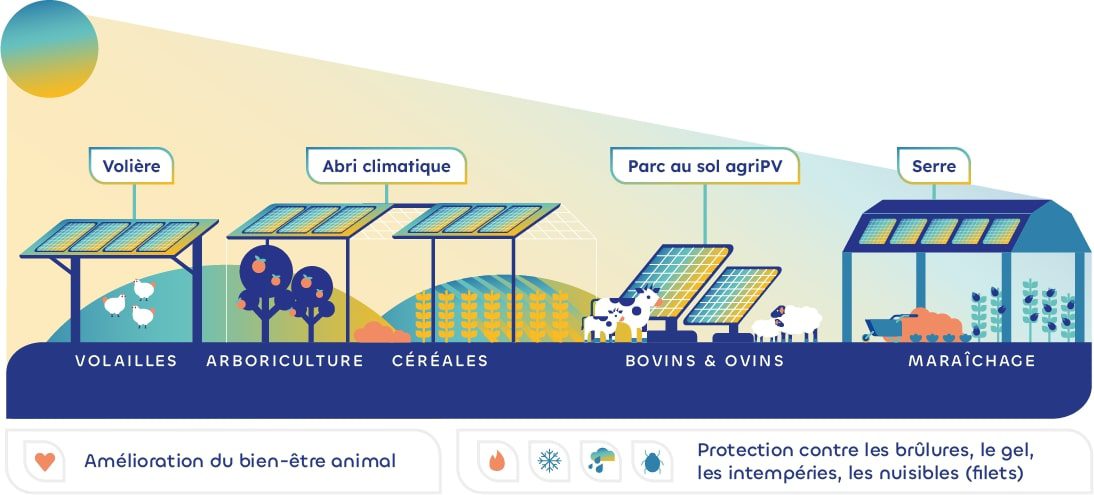 découvrez comment les mini-centrales solaires révolutionnent l'agriculture en offrant une source d'énergie renouvelable et économique. optimisez vos cultures tout en réduisant votre empreinte carbone grâce à des solutions innovantes adaptées aux besoins des agriculteurs.