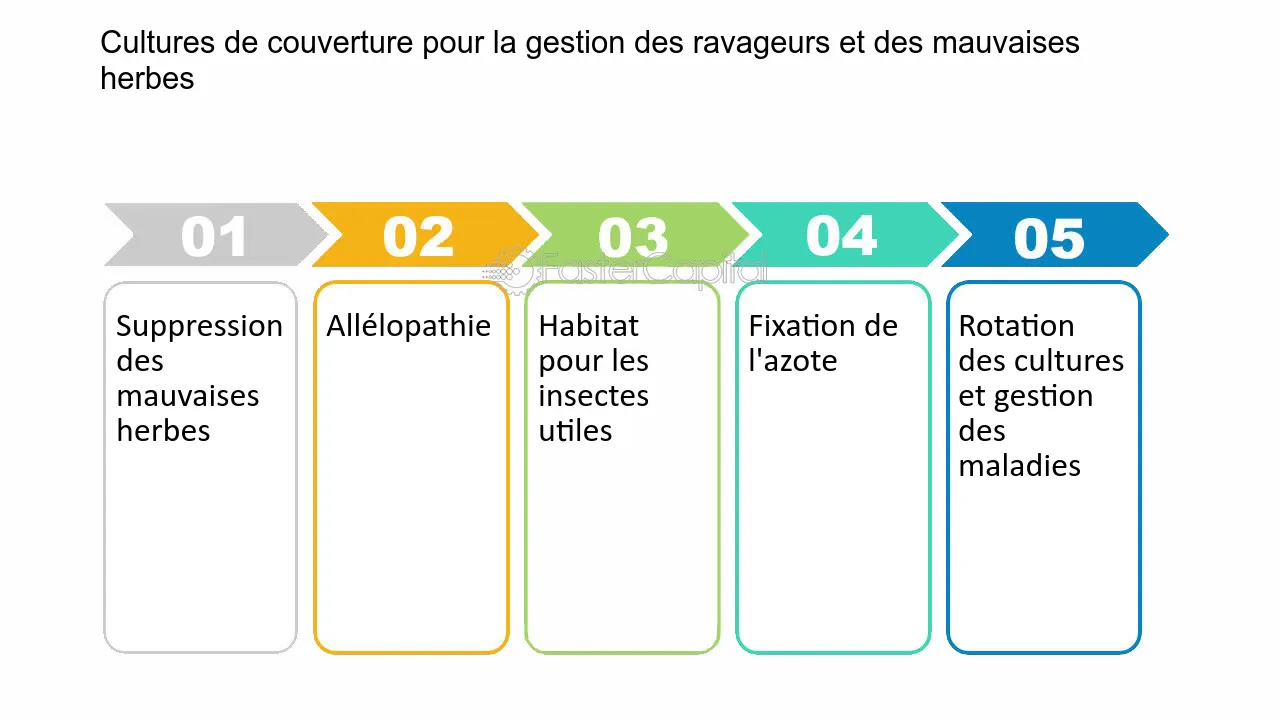 découvrez les avantages des cultures de couverture écologiques pour améliorer la santé de vos sols, favoriser la biodiversité et renforcer la durabilité de votre agriculture. apprenez comment ces pratiques innovantes peuvent transformer vos terres tout en préservant l'environnement.