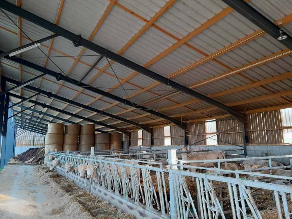 découvrez comment optimiser l'espace et la sécurité de votre exploitation avec des solutions de stockage agricole adaptées. améliorez l'efficacité de votre gestion des récoltes tout en préservant la qualité de vos produits.