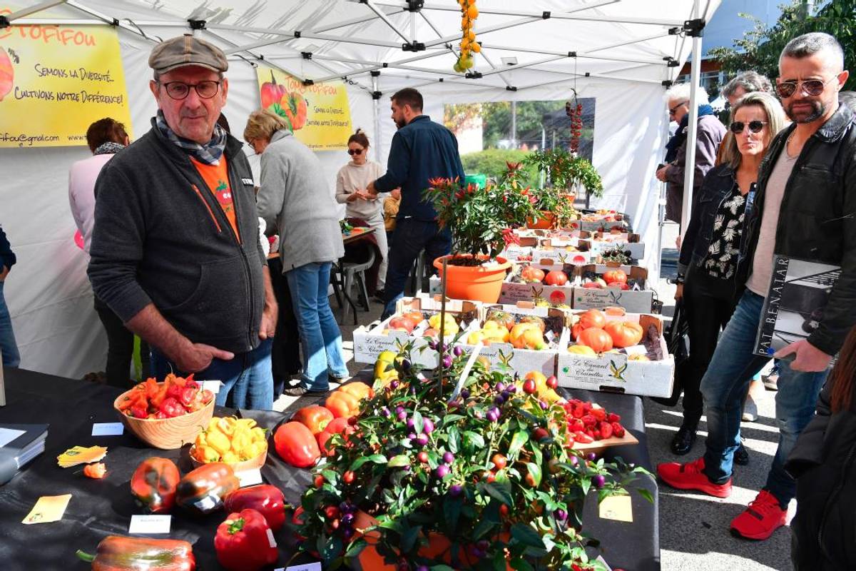 découvrez les festivals dédiés à l'agriculture écologique : des événements enrichissants qui célèbrent les pratiques durables, les cultures bio et l'agriculture responsable. participez à des ateliers, des conférences et des activités pour toute la famille tout en célébrant notre lien avec la terre.