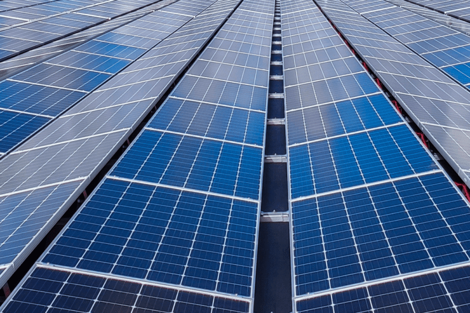 découvrez comment l'installation de hangars photovoltaïques contribue à la préservation de la biodiversité tout en produisant une énergie renouvelable. explorez les bénéfices écologiques et économiques de ces structures innovantes.