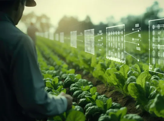 découvrez les outils numériques innovants pour optimiser la gestion de votre ferme. améliorez votre productivité, suivez vos cultures et gérez vos ressources de manière efficace grâce aux technologies adaptées aux besoins des agriculteurs.