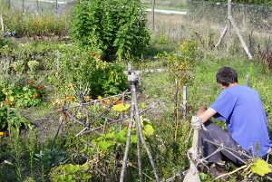 découvrez les principes de la permaculture durable, une approche innovante et respectueuse de l'environnement qui favorise la biodiversité, la régénération des sols et l'autosuffisance. apprenez à créer et entretenir des écosystèmes agricoles durables qui respectent les cycles naturels tout en produisant des récoltes abondantes.