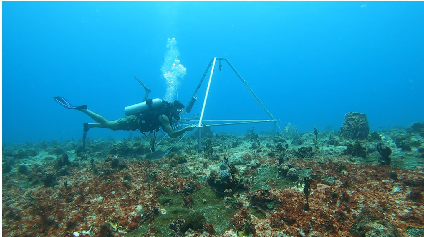 découvrez les récifs solaires, une innovation durable qui transforme l'énergie solaire en un atout pour l'environnement. apprenez comment ces structures écologiques protègent la biodiversité marine tout en produisant de l'énergie renouvelable.