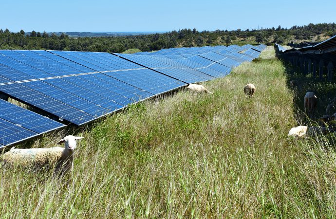 découvrez comment les installations photovoltaïques influencent la biodiversité, en équilibrant production d'énergie renouvelable et protection des écosystèmes. analyse des avantages environnementaux et des défis à relever.