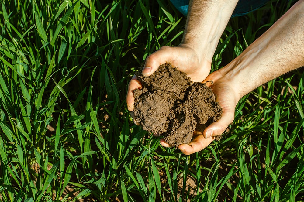 découvrez comment le changement climatique influence les pratiques agricoles et la biodiversité. explorez des solutions durables pour unir climat et agriculture, garantissant une production alimentaire responsable face aux défis environnementaux.