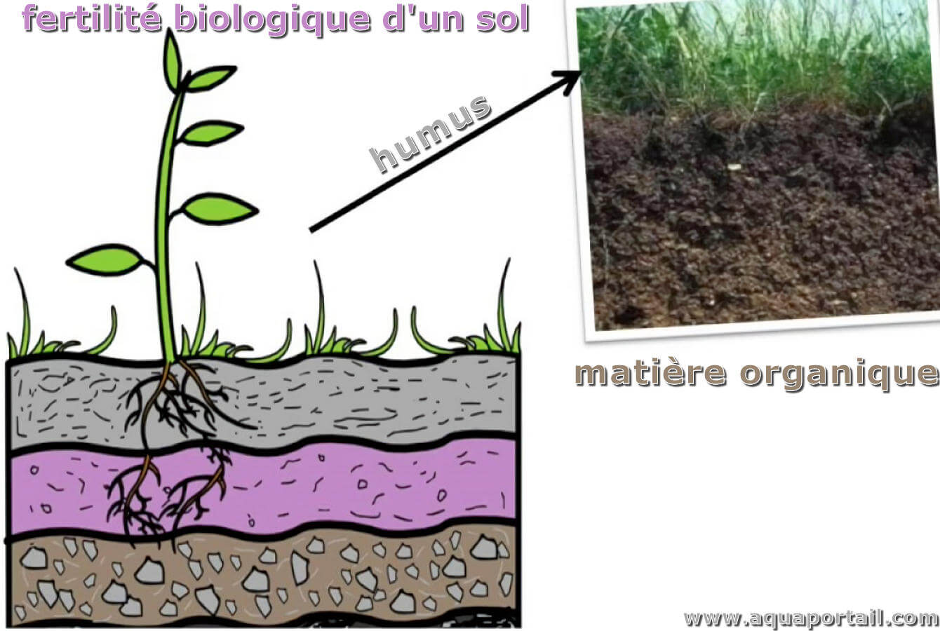 découvrez comment l'énergie solaire peut améliorer la fertilité du sol et favoriser une agriculture durable. explorez les avantages des technologies solaires pour enrichir la terre et optimiser les productions agricoles.