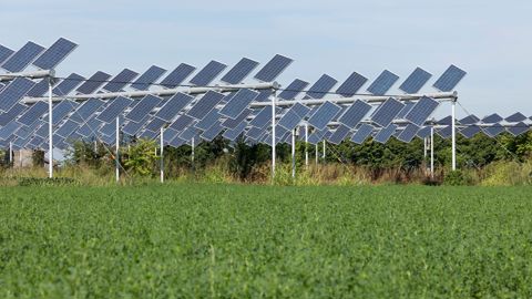 découvrez les pratiques d'agriculture économe en énergie qui préservent l'environnement tout en optimisant la production. adoptez des techniques durables et innovantes pour réduire votre empreinte carbone tout en cultivant efficacement.