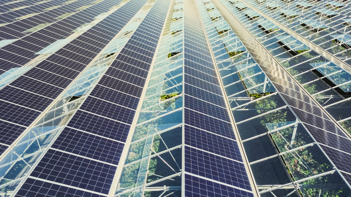 découvrez les aides étatiques disponibles pour l'installation de panneaux solaires en france. informez-vous sur les subventions, crédits d'impôt et autres dispositifs qui facilitent la transition énergétique et réduisent votre empreinte carbone tout en faisant des économies sur vos factures d'énergie.