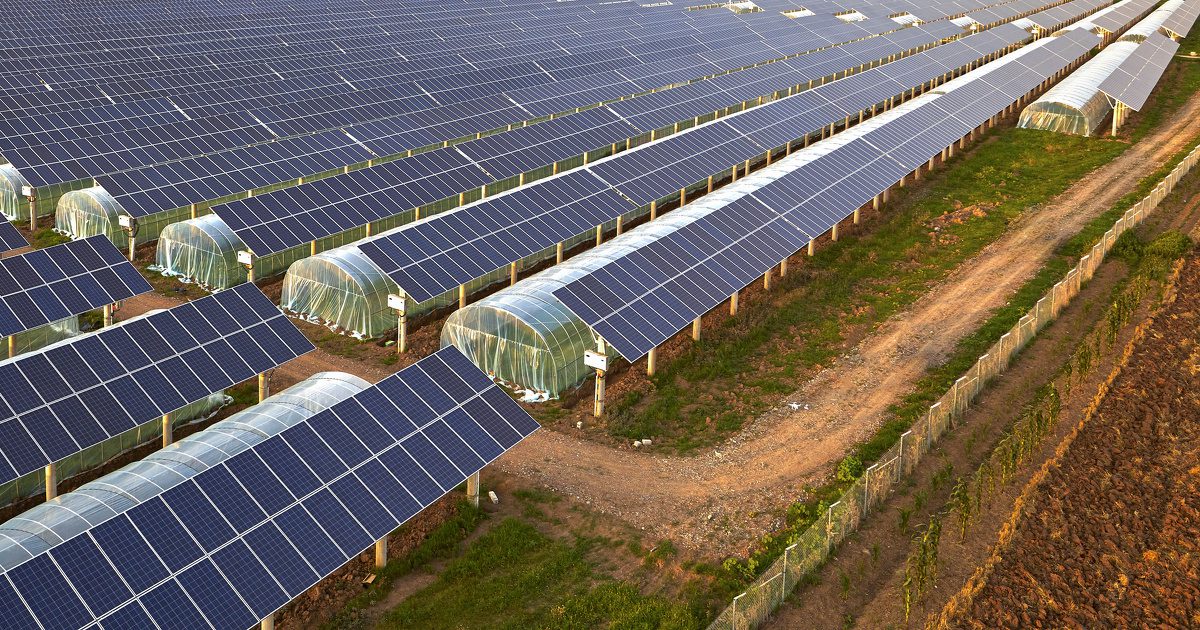 découvrez comment les partenariats entre le secteur de l'énergie et l'agriculture transforment durablement nos pratiques. explorez les synergies innovantes qui favorisent une agriculture plus verte tout en répondant aux défis énergétiques mondiaux.