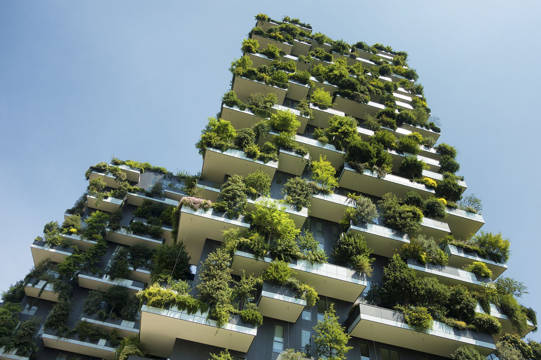 découvrez les enjeux durables qui façonneront l'état en 2025. analyse des défis environnementaux, économiques et sociaux à relever pour un avenir responsable et soutenable.