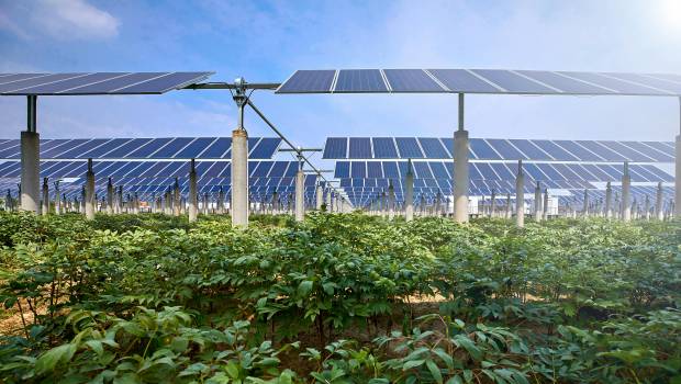 découvrez comment les synergies entre l'agriculture et le photovoltaïque peuvent transformer les pratiques agricoles, optimiser l'utilisation des terres et générer de l'énergie renouvelable, tout en contribuant à un avenir durable. explorez les avantages d'intégrer ces deux secteurs pour une production alimentaire et énergétique plus efficace.