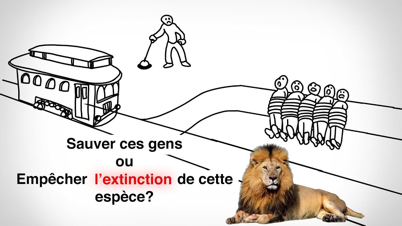 explorez les dilemmes éthiques qui influencent nos décisions quotidiennes. découvrez des exemples concrets, des réflexions profondes et des solutions potentielles pour naviguer dans ces questions morales complexes.