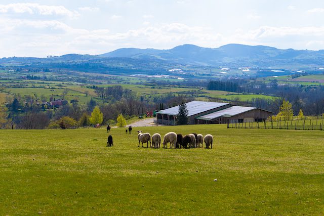 découvrez comment optimiser la rentabilité de votre hangar avec une installation photovoltaïque. maximisez vos profits grâce à l'énergie solaire et réduisez vos coûts d'électricité tout en contribuant à la transition énergétique.
