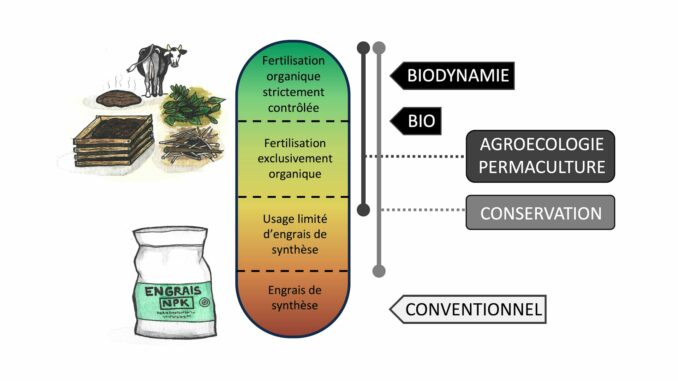 découvrez les pratiques d'agriculture durable qui préservent l'environnement tout en garantissant la sécurité alimentaire. apprenez comment intégrer des méthodes respectueuses de la nature dans vos cultures pour un avenir meilleur.
