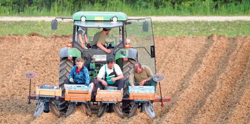 découvrez comment la solidarité agricole durable favorise des pratiques respectueuses de l'environnement tout en soutenant les communautés agricoles. explorez des initiatives innovantes qui allient équité, écologie et économie pour un avenir agricole responsable.