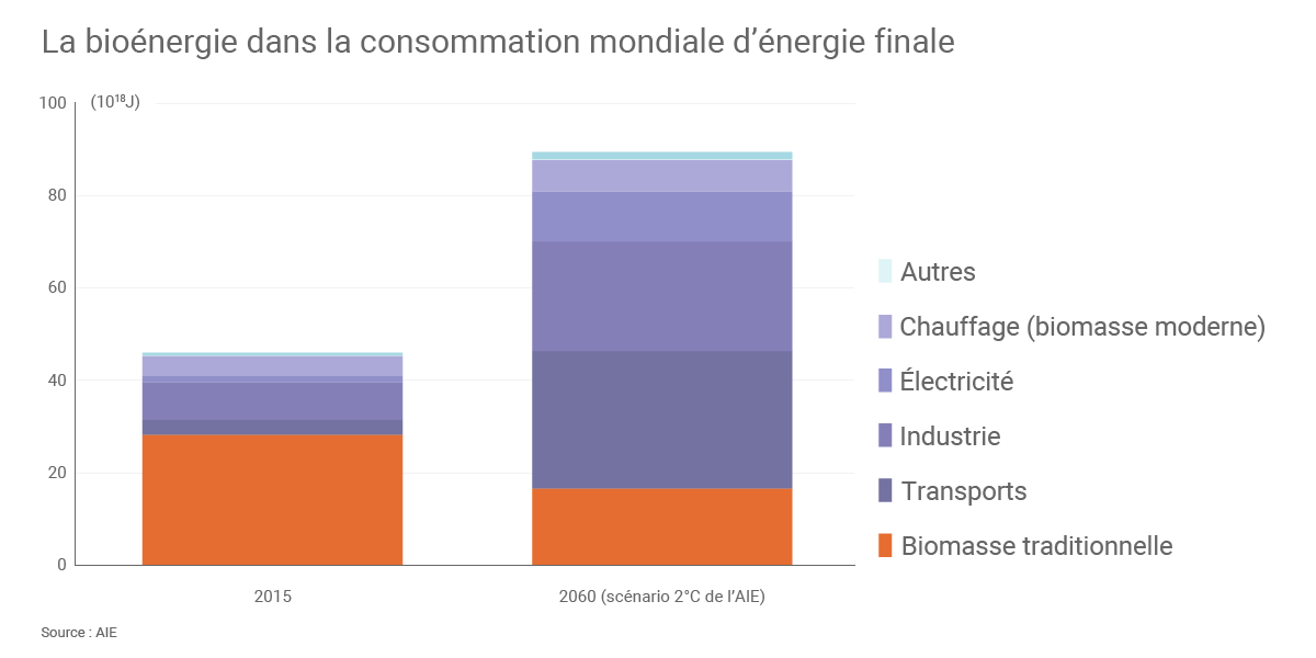 découvrez comment la bioénergie durable révolutionne notre approche énergétique en utilisant des ressources renouvelables pour une planète plus verte et un avenir énergétique responsable.