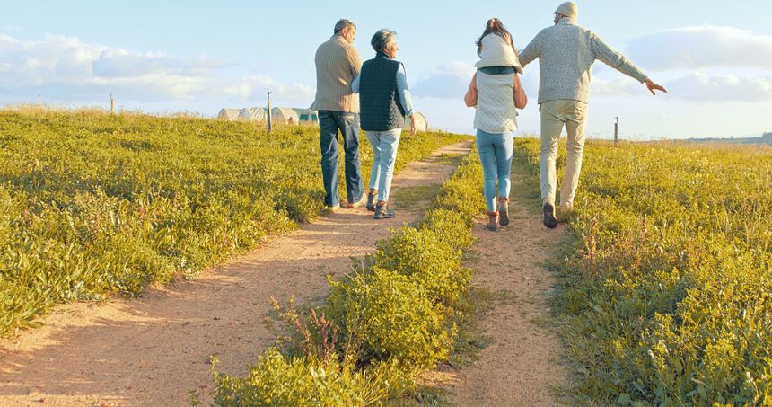 découvrez l'importance de la conservation des sols en agriculture pour préserver la biodiversité, améliorer la fertilité et garantir des récoltes durables. apprenez des pratiques essentielles pour protéger vos terres et contribuer à une agriculture responsable.