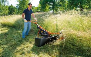 découvrez comment l'éco-réfuge pour jardinage et les panneaux solaires peuvent transformer votre espace extérieur en un havre de paix durable. apprenez à intégrer ces solutions écologiques pour un jardin épanoui et respectueux de l'environnement.