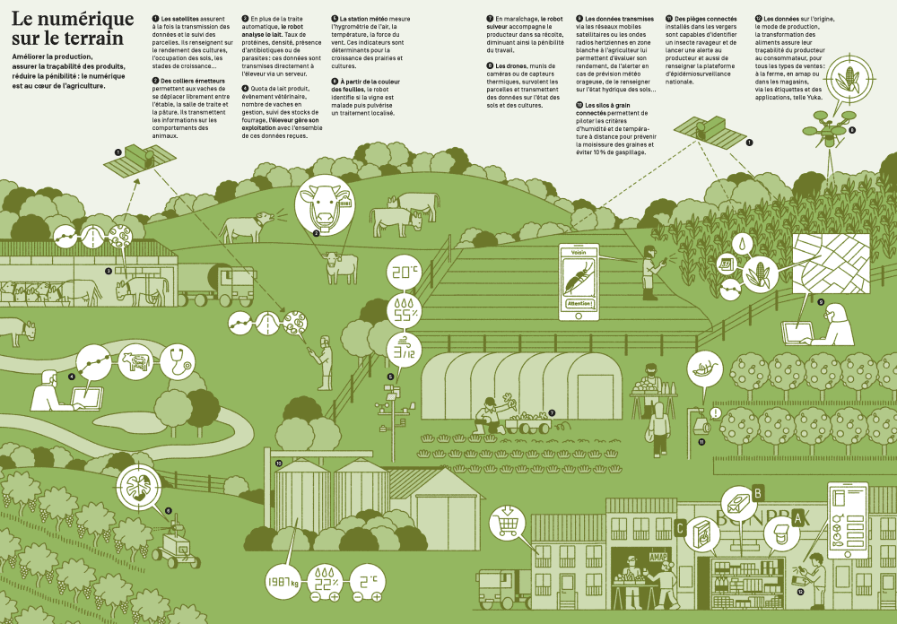 découvrez les enjeux et les pratiques de l'éducation à l'agriculture durable. apprenez comment cette approche contribue à la préservation de l'environnement, au développement des communautés rurales et à la promotion de techniques agricoles écologiques pour un avenir meilleur.