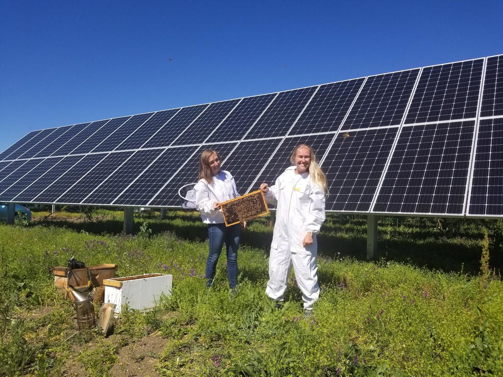 découvrez comment faciliter l'accès à l'énergie pour les agriculteurs, optimiser leurs coûts et améliorer la durabilité de leurs exploitations grâce à des solutions innovantes et adaptées. informez-vous sur les aides disponibles et les meilleures pratiques du secteur.