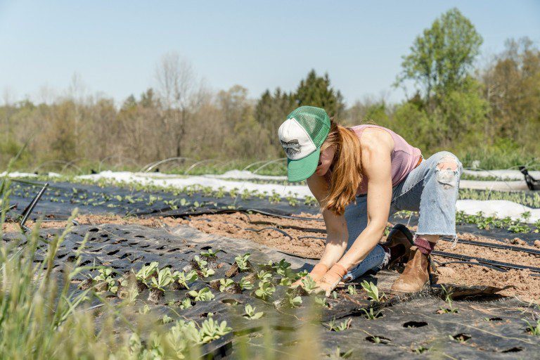 découvrez les solutions d'accès à l'énergie spécialement conçues pour les agriculteurs. optimisez vos ressources, réduisez vos coûts et boostez votre production grâce à des énergies renouvelables adaptées à vos besoins. simplifiez votre transition énergétique dès aujourd'hui !