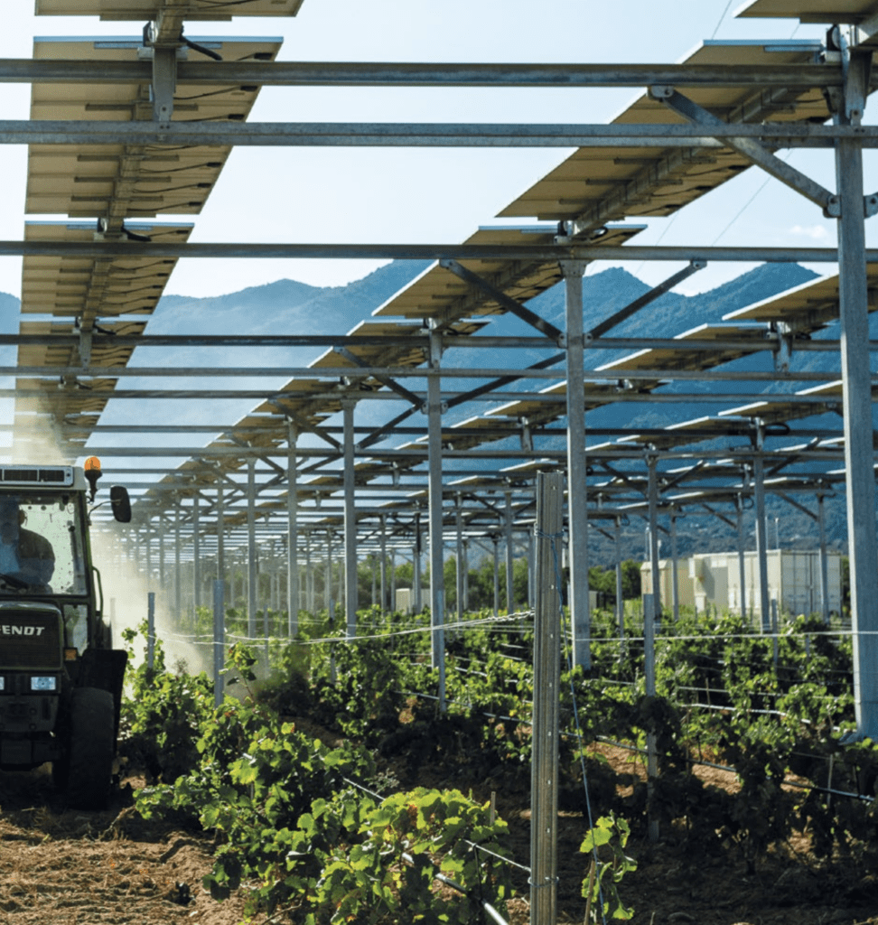 découvrez comment les agriculteurs peuvent facilement accéder à des solutions énergétiques durables et abordables, optimisant ainsi leur production tout en réduisant leur empreinte carbone. informez-vous sur les aides, les technologies disponibles, et les meilleures pratiques pour un accès simplifié à l'énergie dans le secteur agricole.