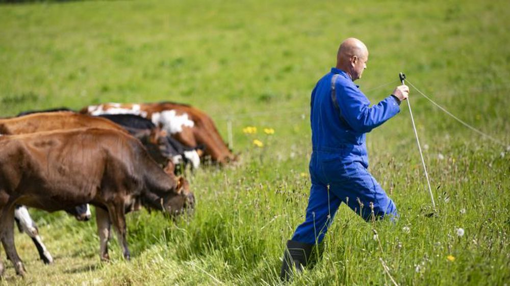 découvrez le monde fascinant de l'activité agricole, où tradition et innovation se rencontrent. explorez les différentes pratiques, les cultures emblématiques et l'impact de l'agriculture sur notre quotidien. plongez dans l'univers des agriculteurs et apprenez-en davantage sur les enjeux environnementaux et économiques liés à ce secteur essentiel.