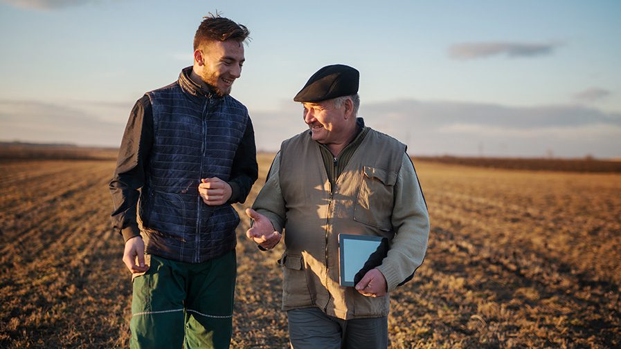 découvrez l'univers passionnant de l'activité agricole, où tradition et innovation se rencontrent. explorez les différentes pratiques agricoles, les cultures, l'élevage et les enjeux environnementaux, tout en apprenant comment l'agriculture moderne façonne notre avenir nutritif.