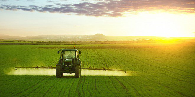 découvrez l'univers passionnant de l'activité agricole, où tradition et innovation se rencontrent pour façonner l'avenir de l'agriculture durable. explorez des méthodes de culture, d'élevage et de gestion des ressources naturelles qui préservent notre planète tout en répondant aux besoins alimentaires croissants.