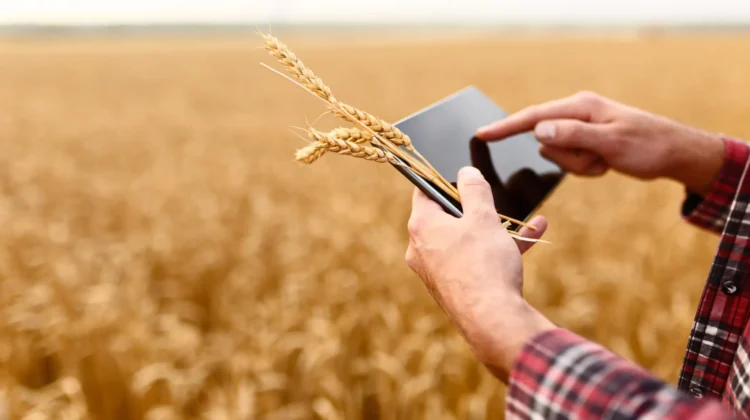 découvrez comment l'adoption des technologies agricoles transforme les méthodes de culture, optimise la productivité et améliore la durabilité des exploitations agricoles. explorez les innovations qui révolutionnent l'agriculture et les benefits pour les agriculteurs.