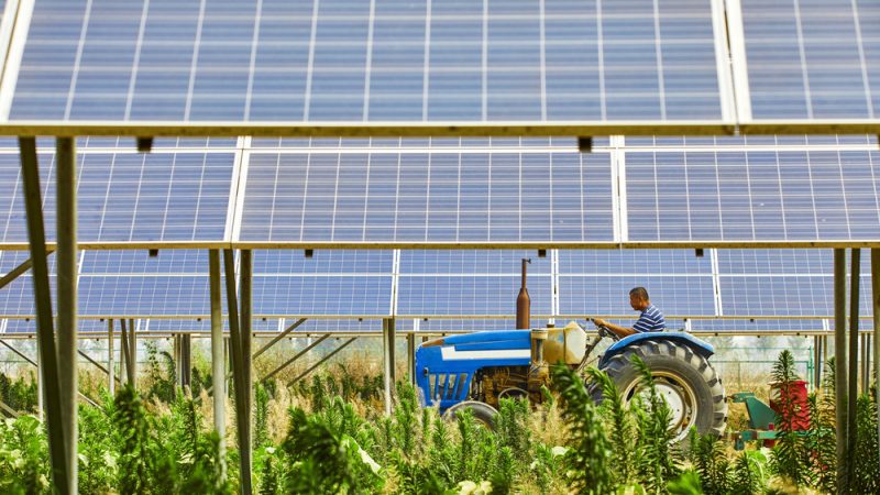 découvrez les solutions d'agri-énergie solaire pour une agriculture durable et innovante. optimisez vos ressources avec l'énergie solaire tout en réduisant votre empreinte carbone et en augmentant la rentabilité de vos exploitations agricoles.