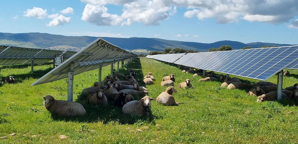 découvrez l'agri-photovoltaïque, une solution innovante qui combine agriculture et énergie solaire pour maximiser la productivité des terres tout en préservant l'environnement. optimisez vos cultures et contribuez à la transition énergétique grâce à cette approche durable.