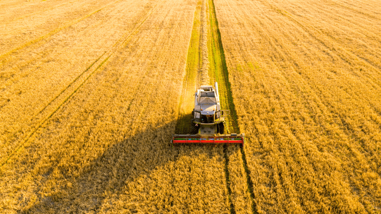 découvrez les principes de l'agriculture durable, une approche innovante qui préserve l'environnement tout en garantissant une production alimentaire responsable et éthique. apprenez comment concilier rendements agricoles et respect des écosystèmes pour un avenir plus vert.