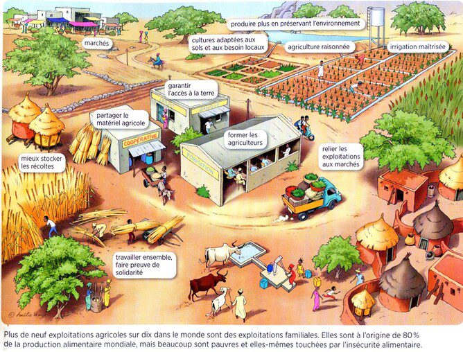 découvrez les pratiques de l'agriculture durable qui préservent l'environnement tout en garantissant une production alimentaire responsable. apprenez comment intégrer des solutions écologiques pour nourrir la planète sans compromettre les ressources naturelles.